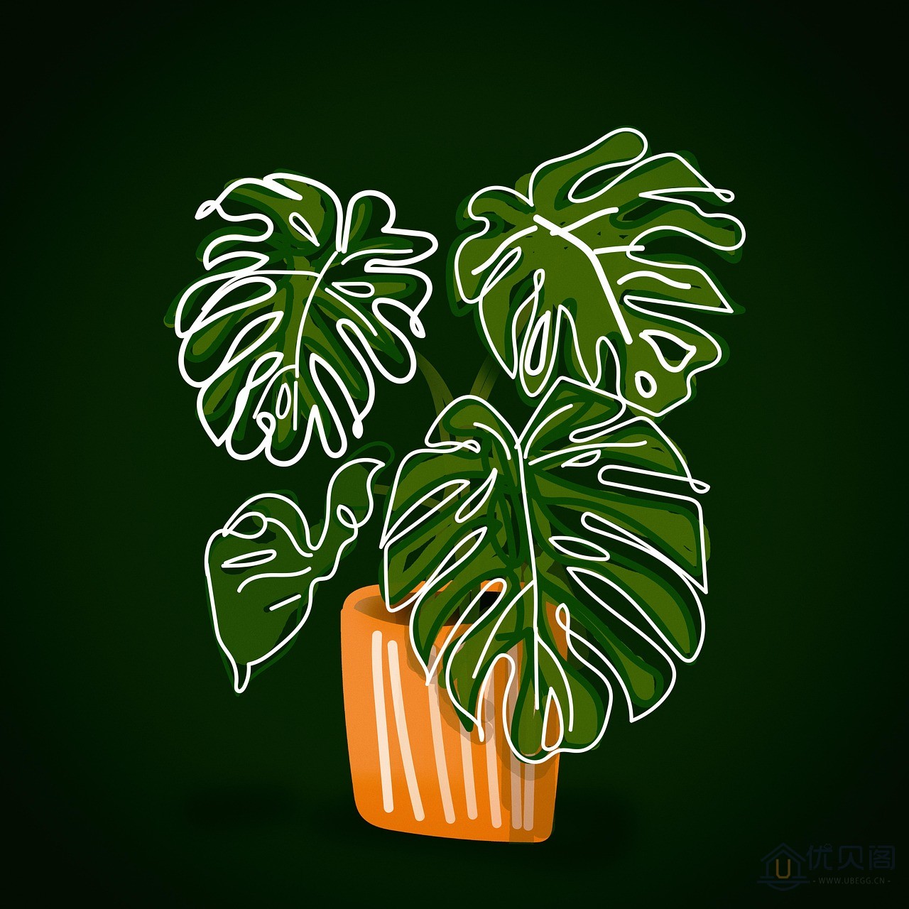 monstera-7225064_1280.jpg