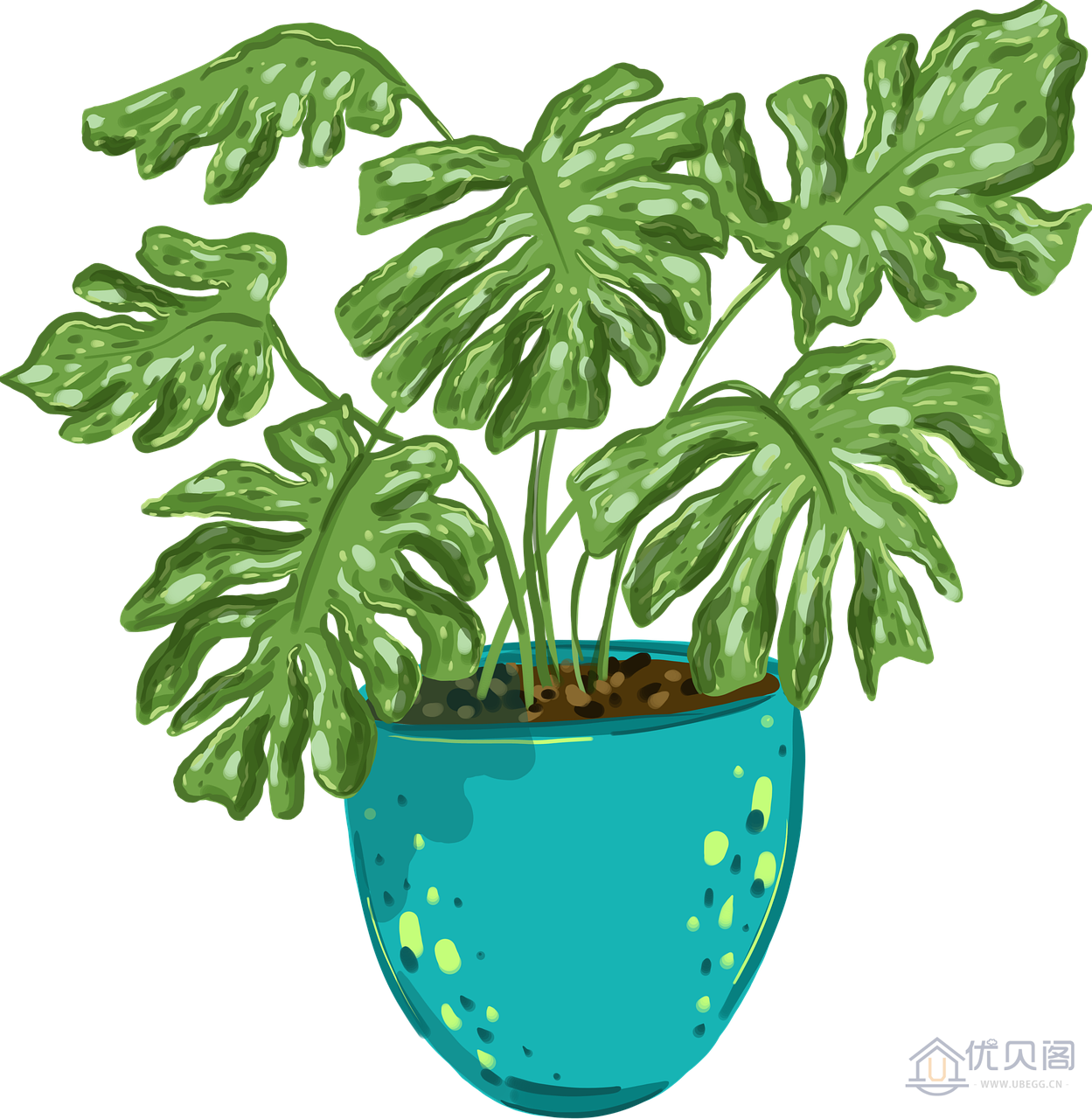 green-7875928_1280.png